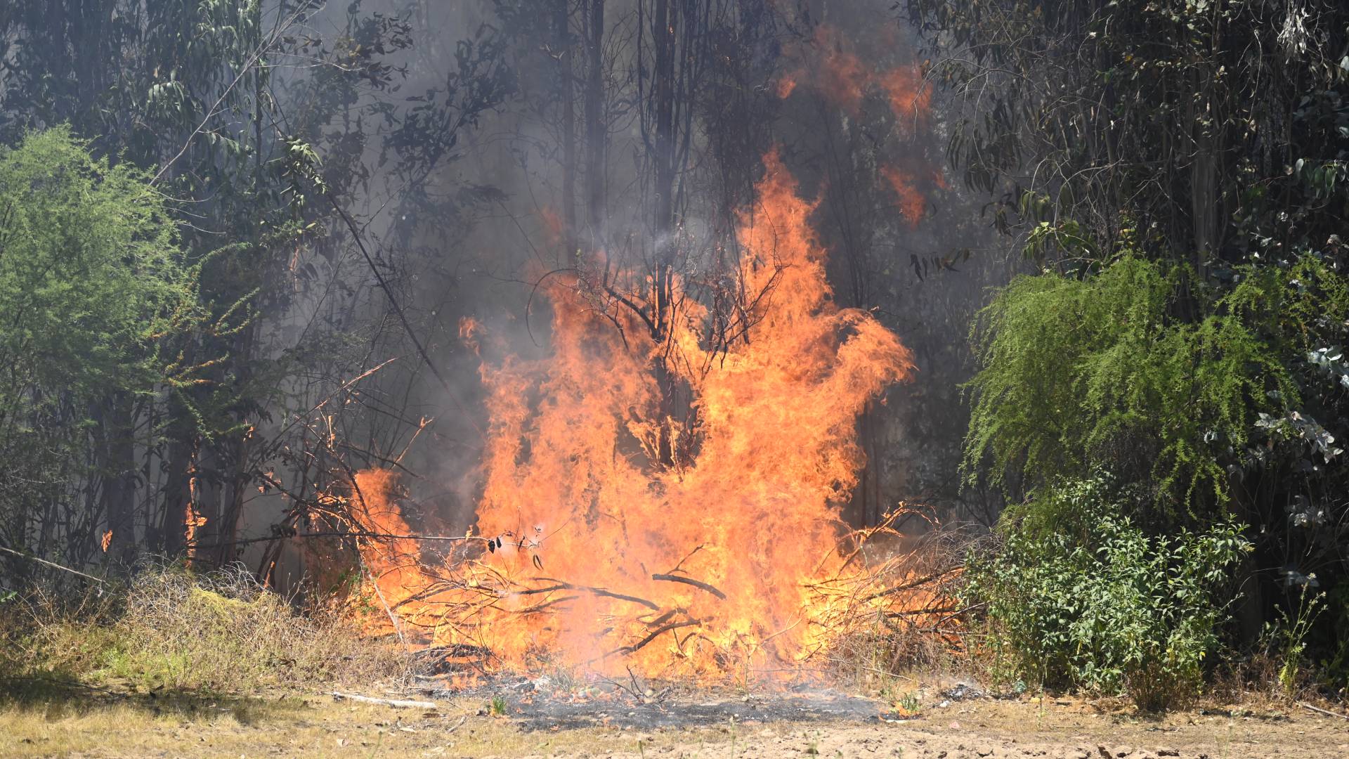 Encuentran nuevos restos humanos: el origen y las penas que arriesgan quienes provocaron el incendio en Los Sauces