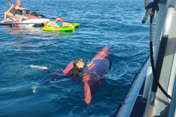 Encontraron el kayak: lo que se sabe de la joven desaparecida en el Lago Villarrica