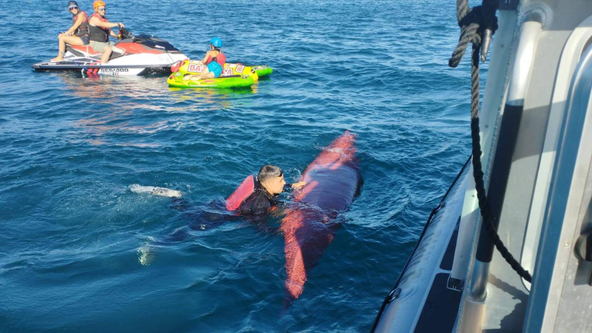 Encontraron el kayak: lo que se sabe de la joven desaparecida en el Lago Villarrica