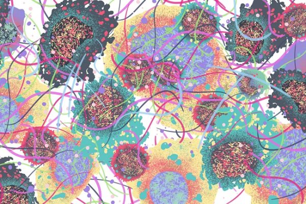 Descubren cómo los carcinomas orales ‘engañan’ a nuestras defensas