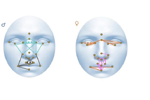 Describen la relación entre la morfología facial y las medidas del córtex cerebral en pacientes con esquizofrenia y trastorno bipolar