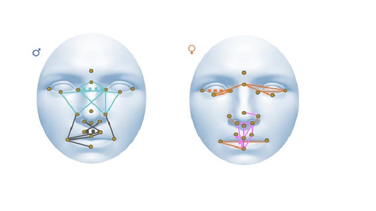 Describen la relación entre la morfología facial y las medidas del córtex cerebral en pacientes con esquizofrenia y trastorno bipolar