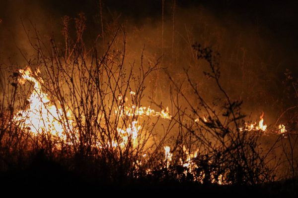 "La intencionalidad es evidente": ministro de Agricultura confirma investigación por incendios en la Región de La Araucanía