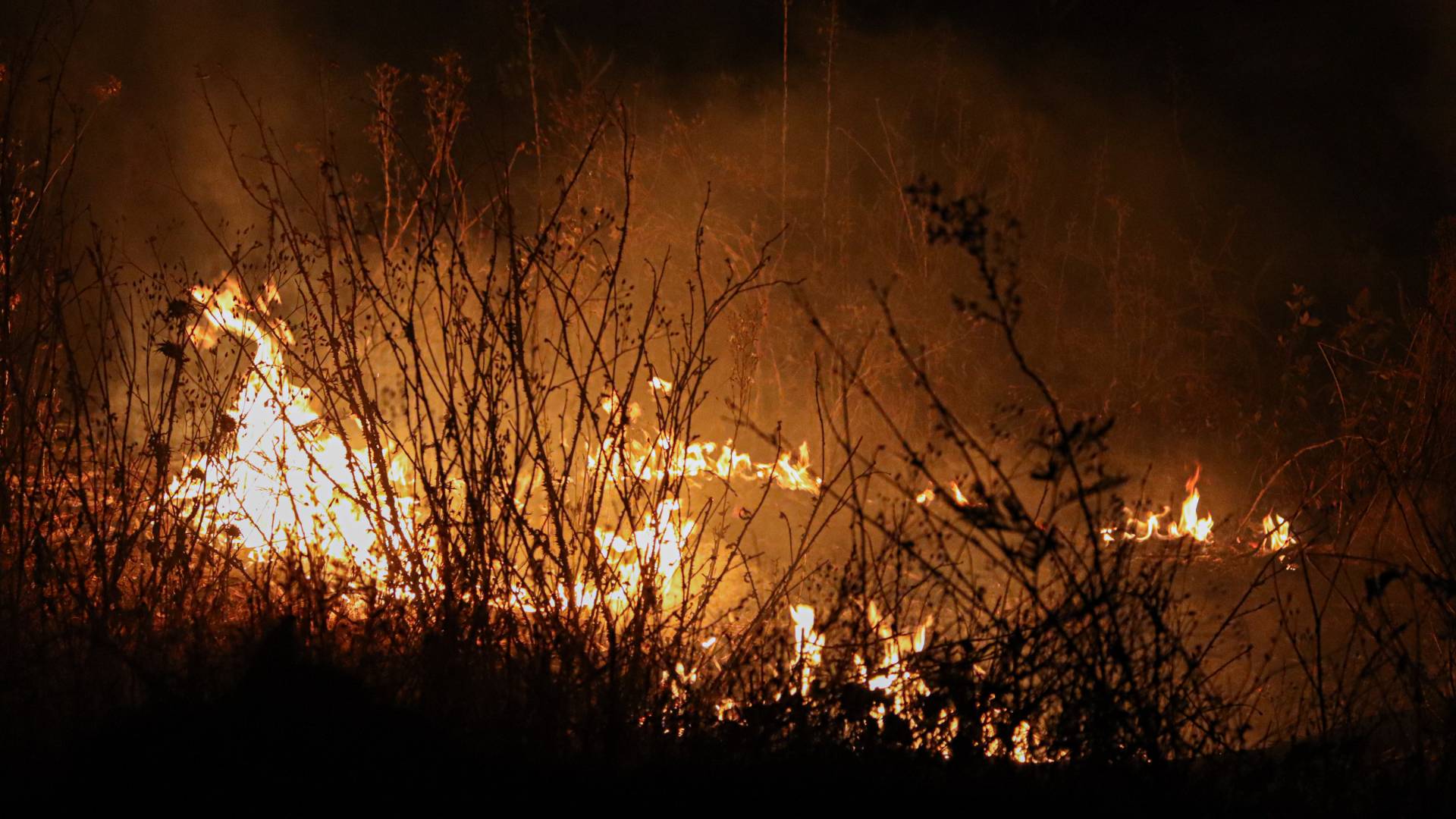 "La intencionalidad es evidente": ministro de Agricultura confirma investigación por incendios en la Región de La Araucanía