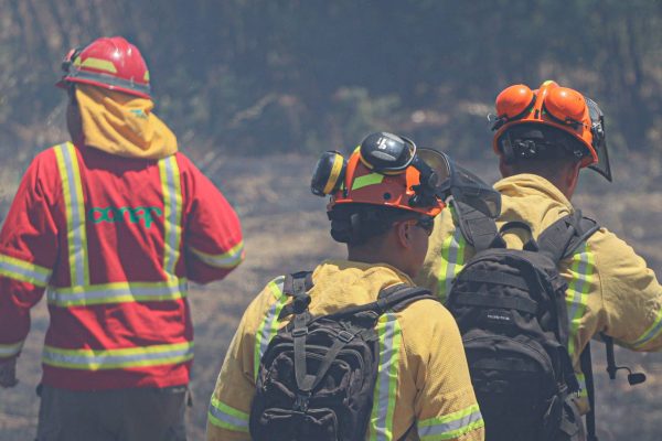 Focos simultáneos y en línea recta: los argumentos de Conaf para asegurar que incendios son intencionales