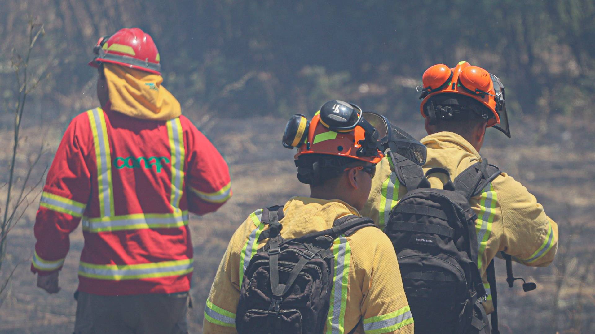 Focos simultáneos y en línea recta: los argumentos de Conaf para asegurar que incendios son intencionales