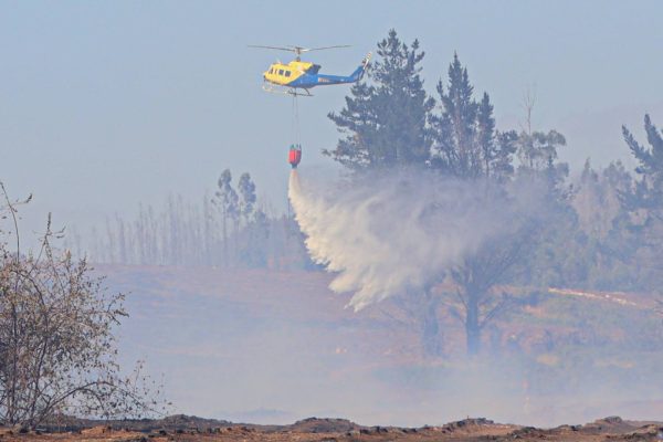 Intencionalidad, detenidos formalizados y toque de queda: lo que han dejado los incendios forestales