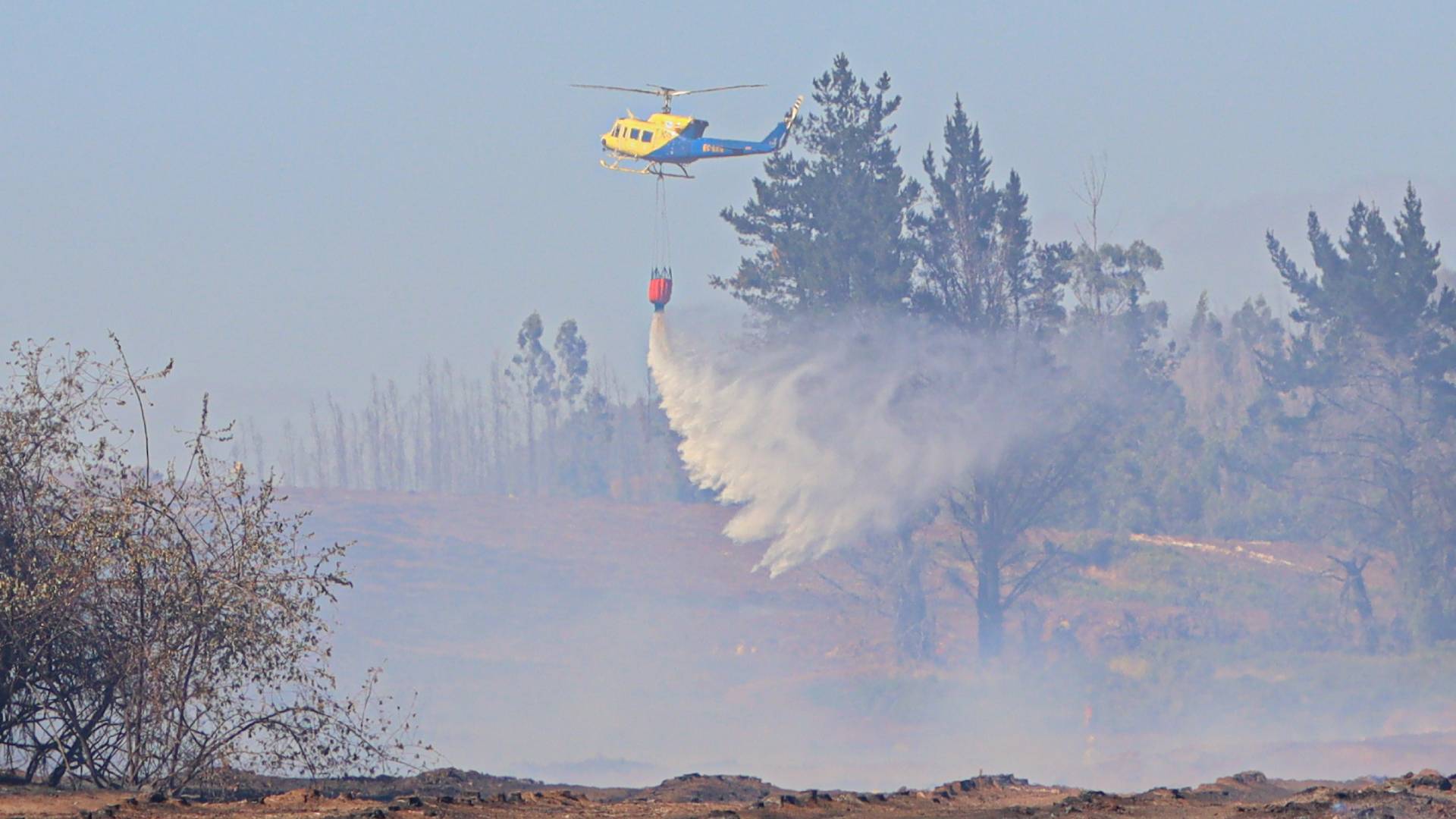 Intencionalidad, detenidos formalizados y toque de queda: lo que han dejado los incendios forestales