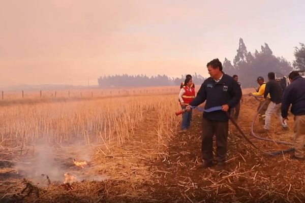 VIDEOS - Ministro de Agricultura tras críticas por registro que lo mostró apagando una fogata: "Nada de show"