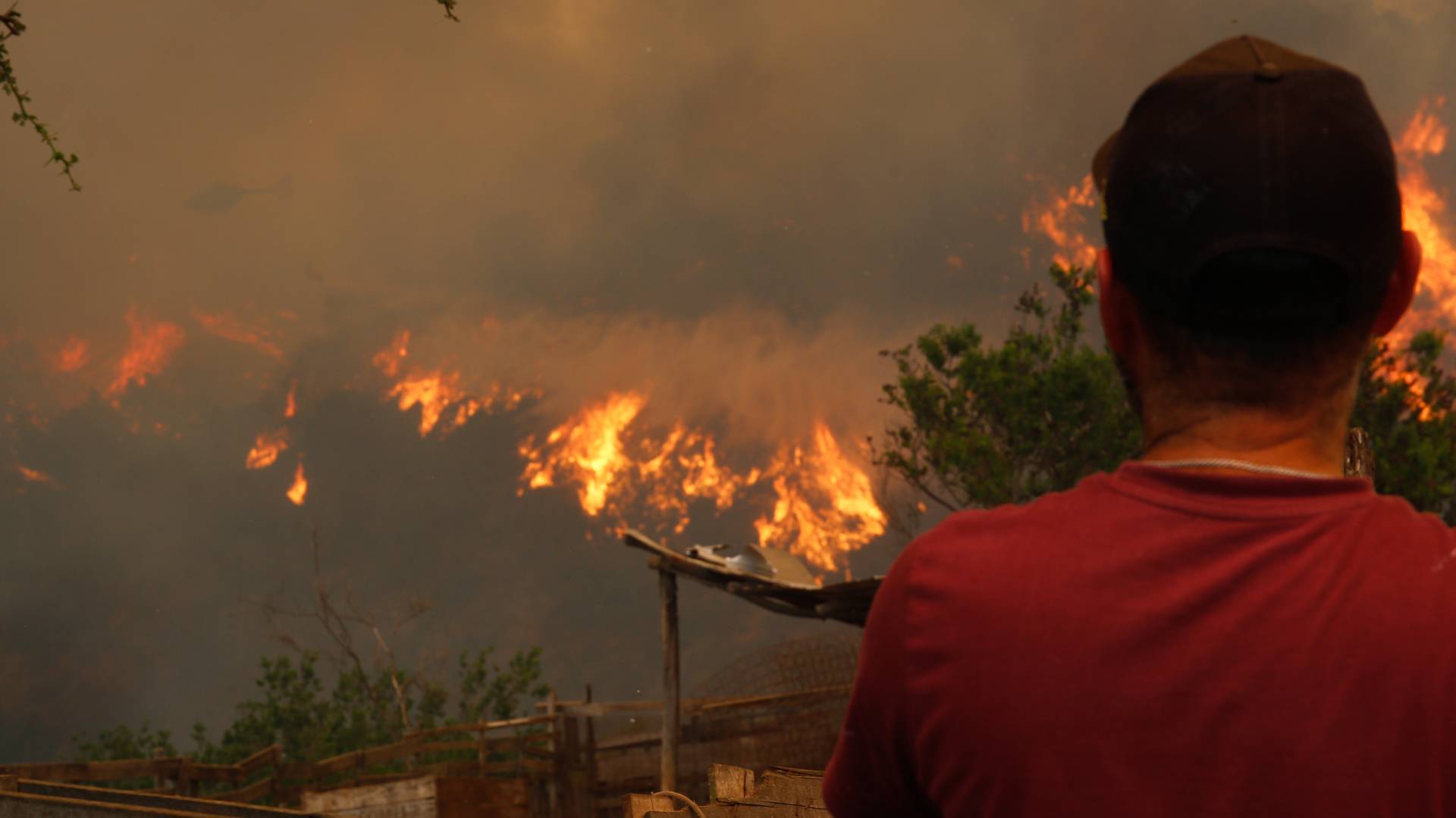 Toque de queda e incendios forestales: cuál es el balance de la Conaf este viernes 14 de febrero