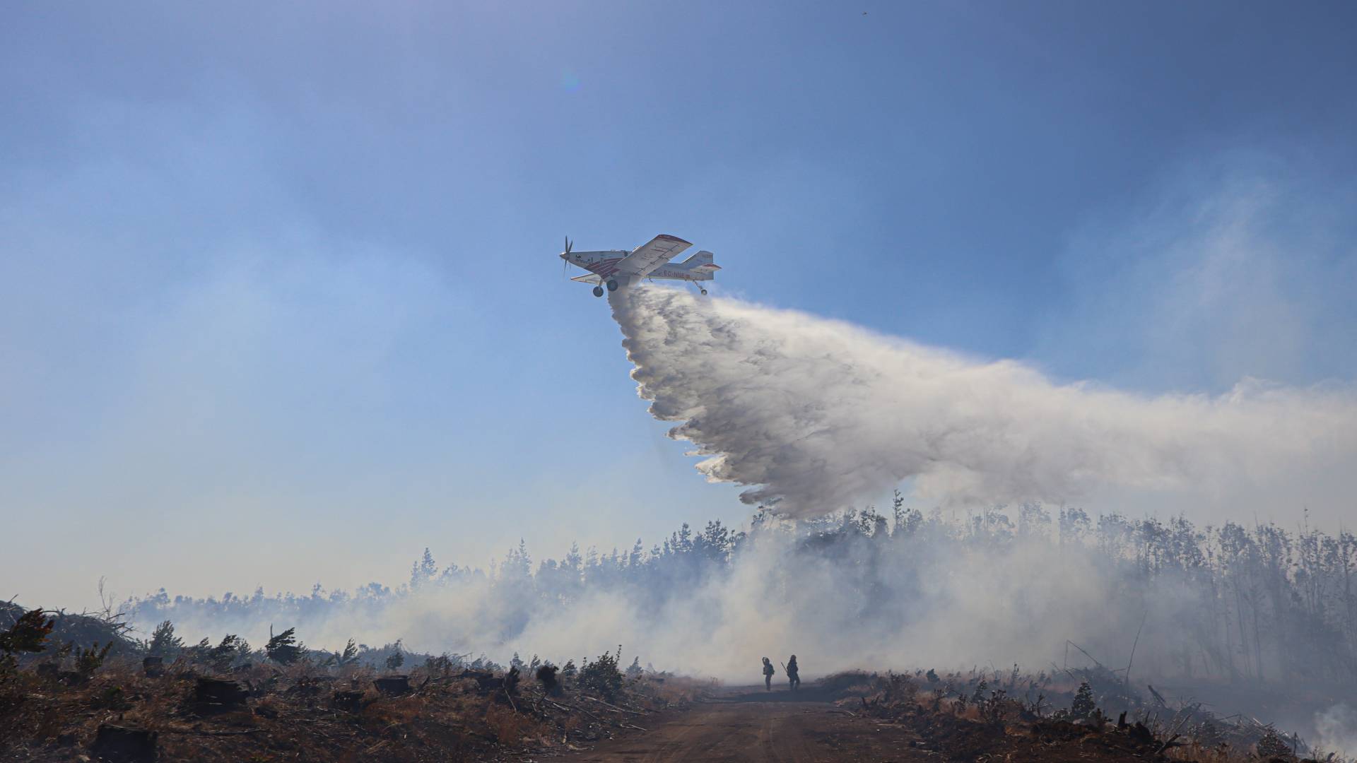 Por incendios forestales: las seis comunas que continúan con toque de queda