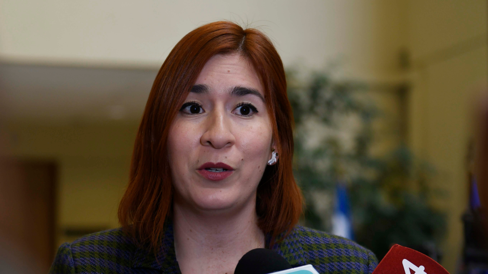 Los argumentos de la Corte para ratificar el desafuero de la diputada Catalina Pérez