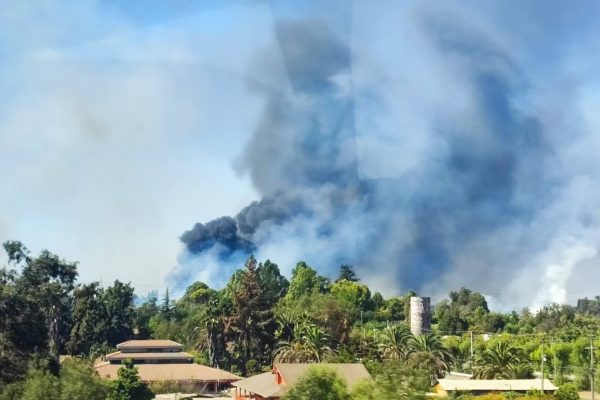 Alerta Roja: los registros del incendio forestal que afecta a Peñaflor