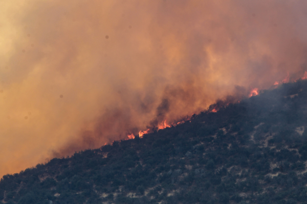 Incendios forestales: Conaf reporta 13 incendios activos y más de 17 mil hectáreas quemadas