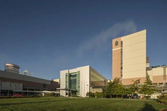 Celulosa ARAUCO lidera la sostenibilidad con su plan empresarial de biodiversidad