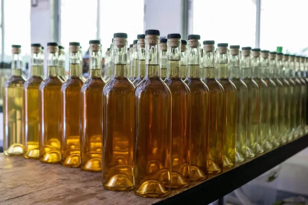 Pisco Chile busca mantener US$1,5 millones para promover y proteger el pisco en 2027