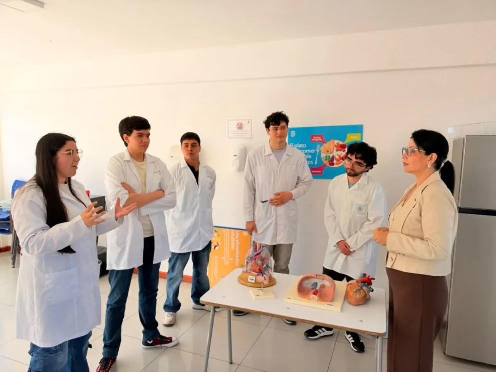 Titulados de IP: convocatoria contempla cerca de 300 becas de magíster, con postulaciones previstas para 2027